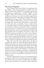 Load image into Gallery viewer, The Shadow of Christ in the Book of Lamentations