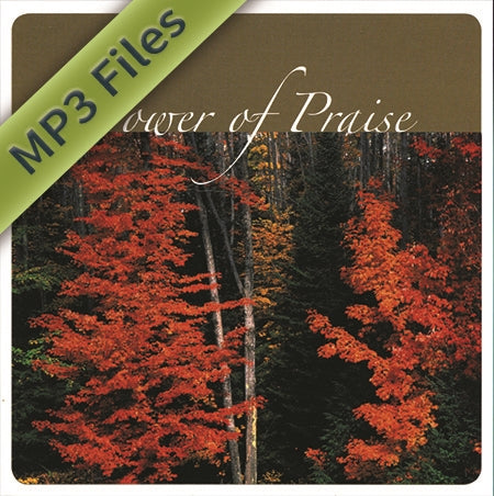 Power of Praise (Download)