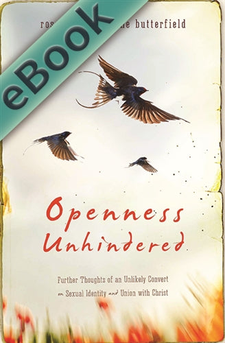 Openness Unhindered: Further Thoughts of an Unlikely Convert on Sexual Identity and Union with Christ (eBook)